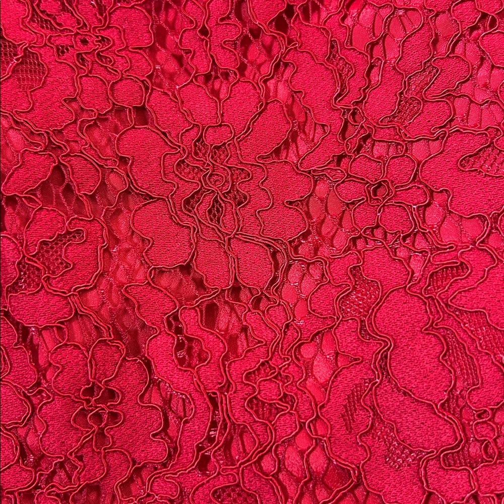J. Crew Vibrant Red Lace Garment SIZE 00 - Picture 10 of 12